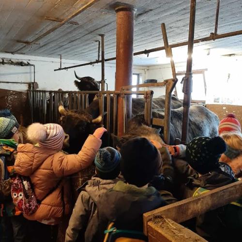 Bauernhofbesichtigugng