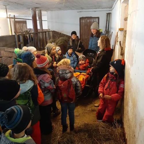 Bauernhofbesichtigung 2a