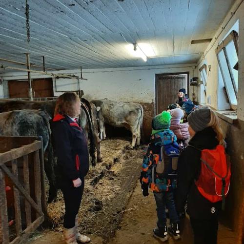Bauernhofbesichtigung 2a