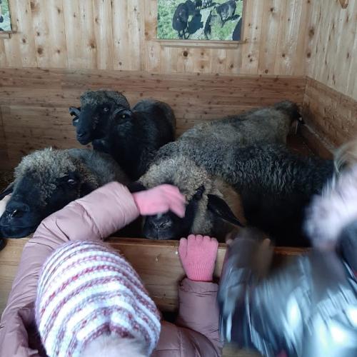 Bauernhofbesichtigung 2a