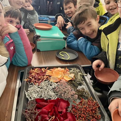 Eisbilder Naturmaterialien