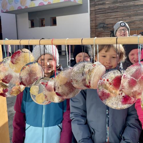 Eisbilder Naturmaterialien