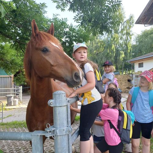 Hintere Hängebrücke