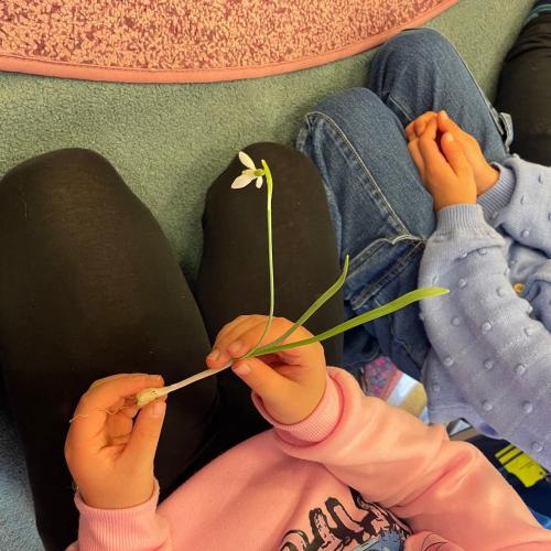 Der Natur auf der Spur Teil 1/ Frühblüher erforschen