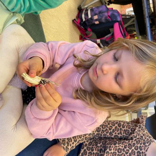 Der Natur auf der Spur Teil 1/ Frühblüher erforschen