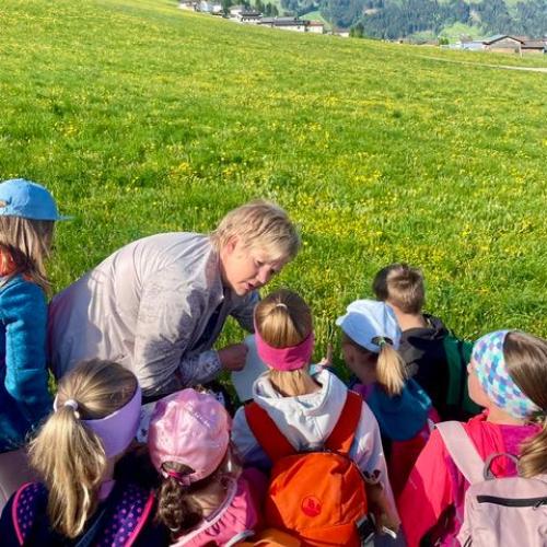 Kräuterwanderung