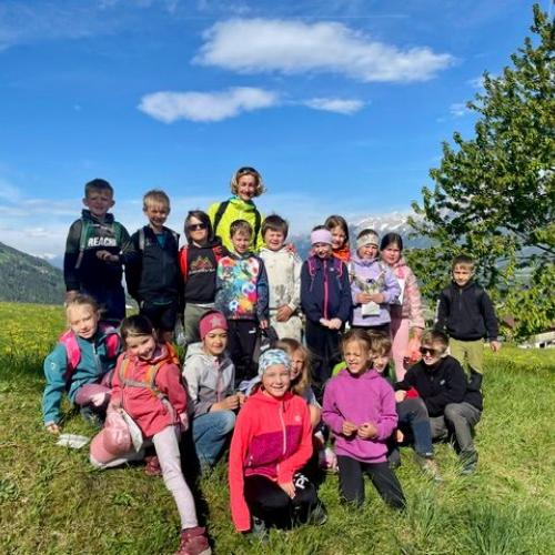 Kräuterwanderung