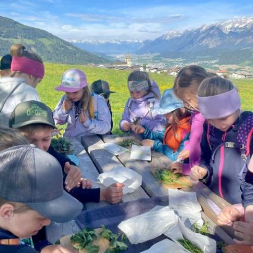 Kräuterwanderung