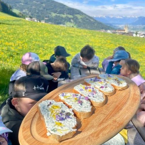 Kräuterwanderung