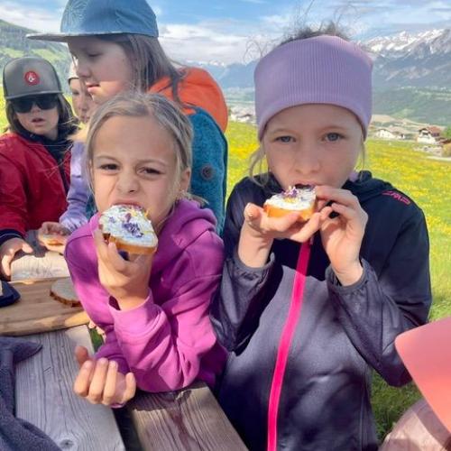 Kräuterwanderung