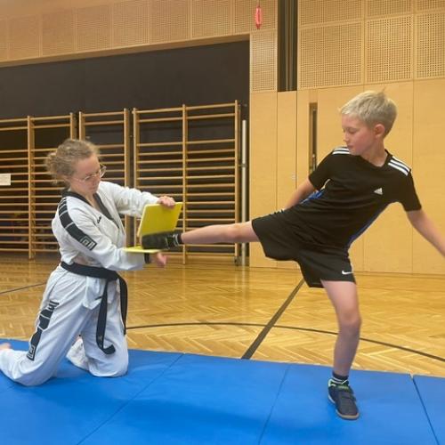 Taekwondo