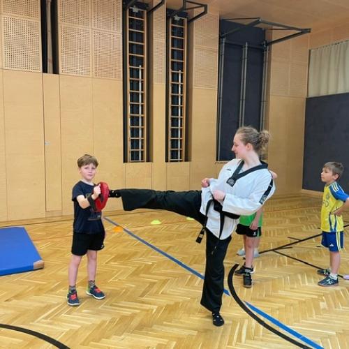 Taekwondo