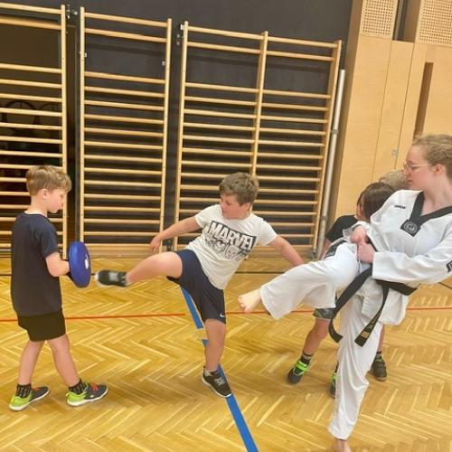 Taekwondo