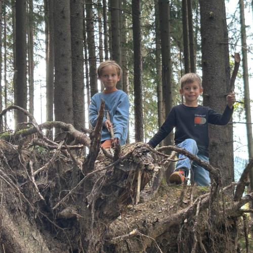 Wald